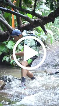 BIB:  <button type="button" onclick="openModal(27824690)" class="btn btn-primary btn-sm float-right" data-toggle="modal" data-target=".modal-high-quality">
                <i class="fa fa-download"></i> Download
                </button>